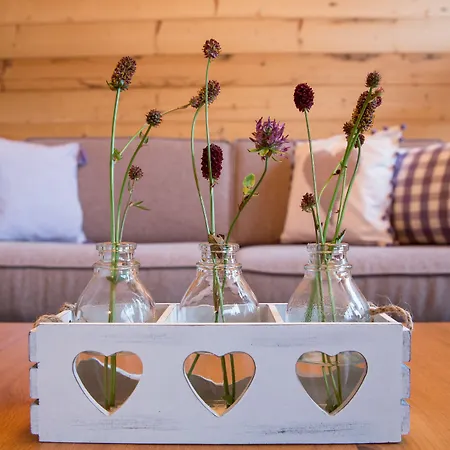 普利瓦阿尔派旅馆 * 伦策海德