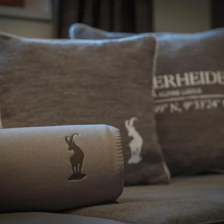 Priva Alpine Daire *